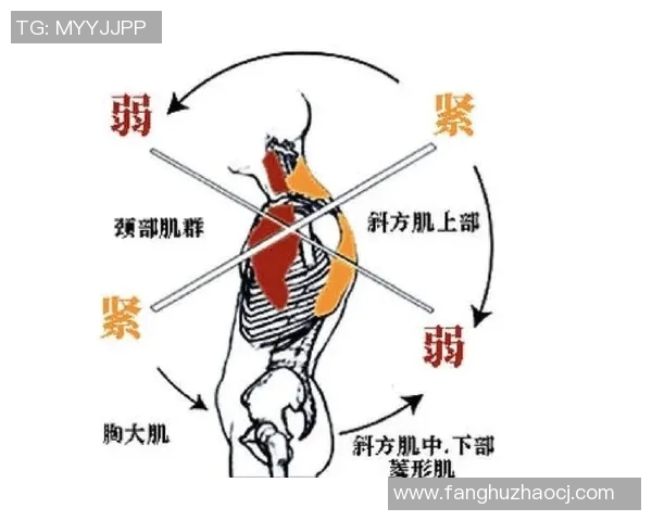 从零基础到高手之路羽毛球配合技巧全解析与实战指南