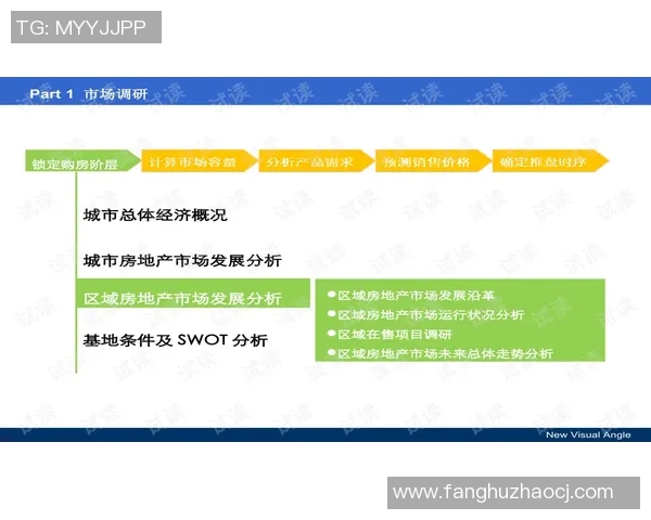 从零基础到高手:全面掌握排球速度技巧与训练方法指南 从零基础到高手:全面掌握排球速度技巧与训练方法指南