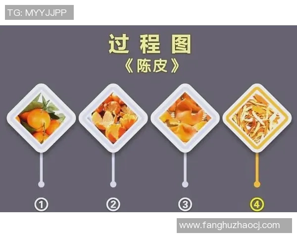 科学乒乓球训练新方法：掌握节奏提升竞技水平的全面指南